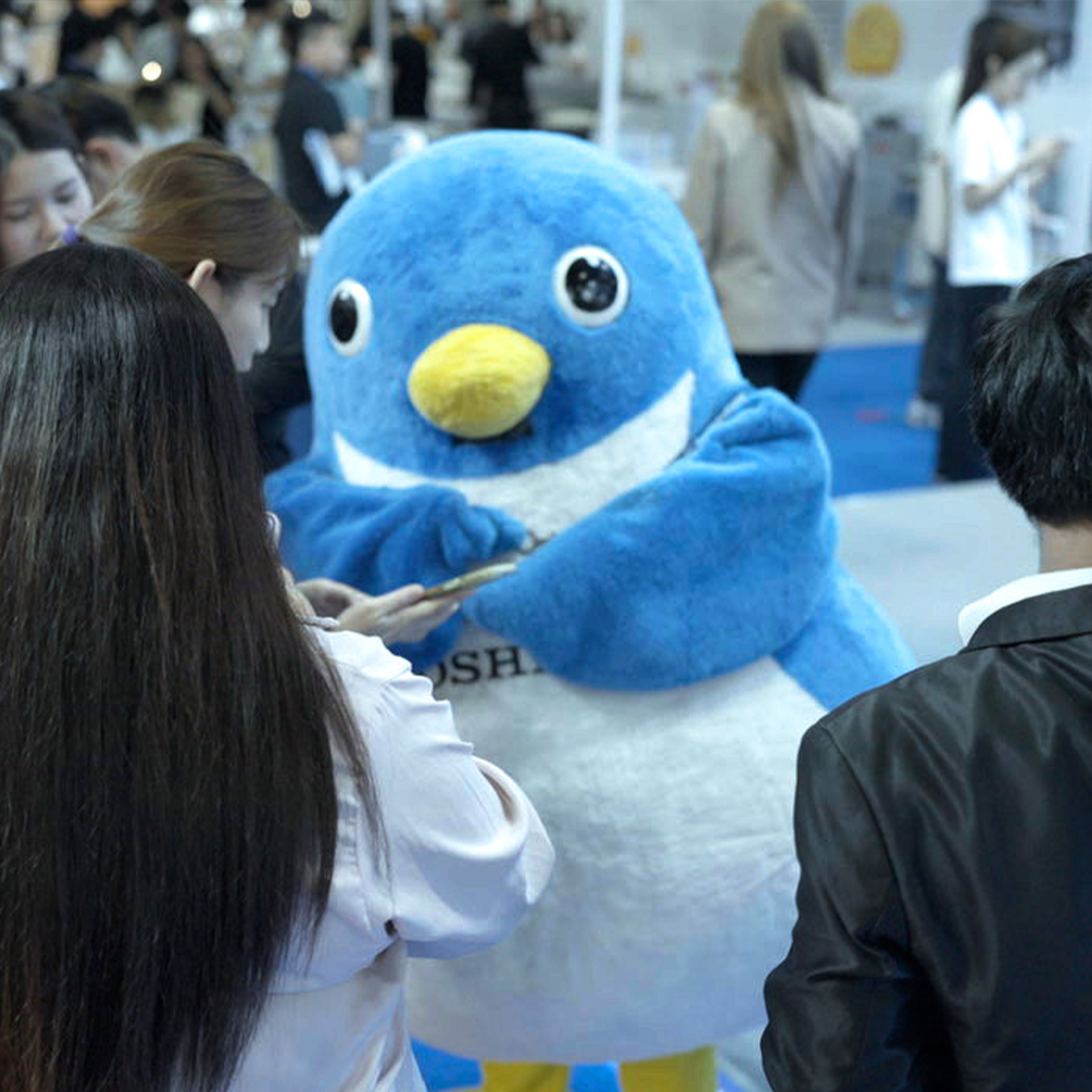 650008062 1518518016940400 5495667959693237790 n