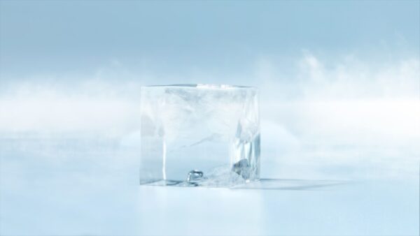 IM-240DNE-32-B-801SA Cube Modular Ice Machine | Hoshizaki