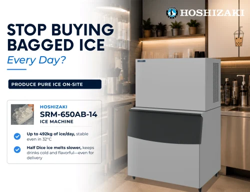 STOP BUYING BAGGED ICE EVERY DAY